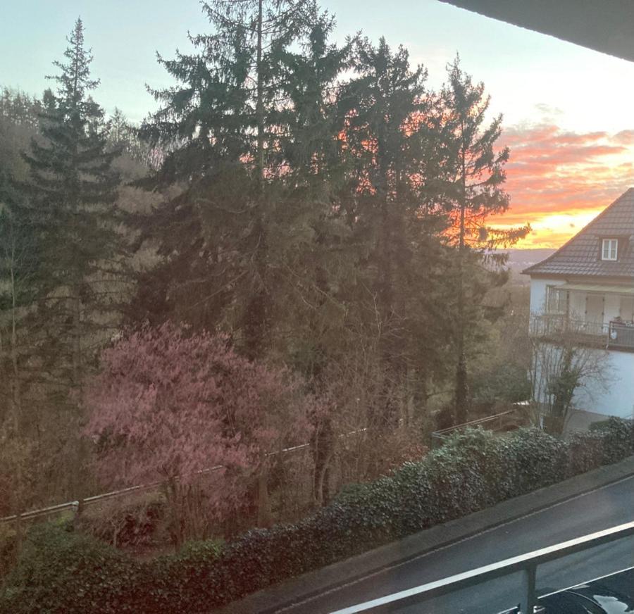 Homestay Grosszuegiges Mit Terrasse Am Rheinsteig