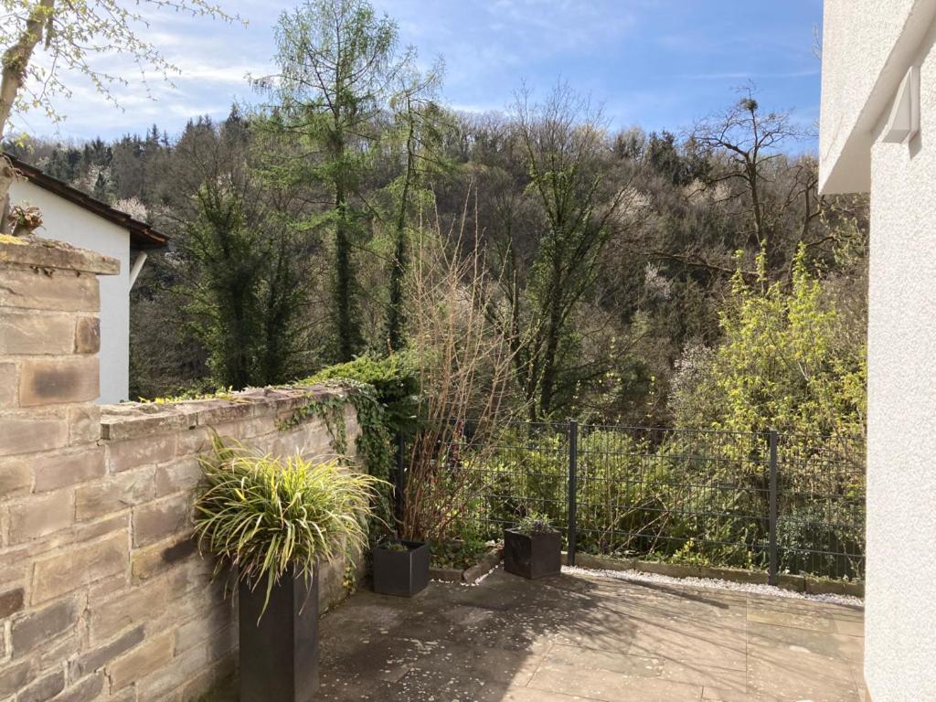 Grosszuegiges Mit Terrasse Am Rheinsteig Homestay *